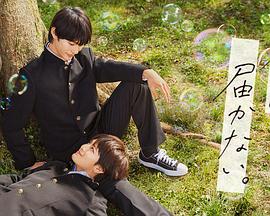 追击者是真实事件海报剧照