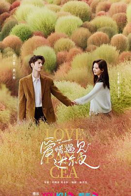 中国精品伦理片海报剧照